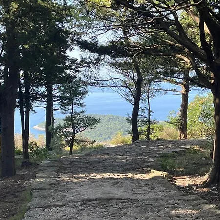 게스트하우스 Green Promenade 두브로브니크
